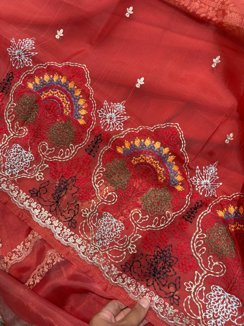 Kashmiri Organza Suit