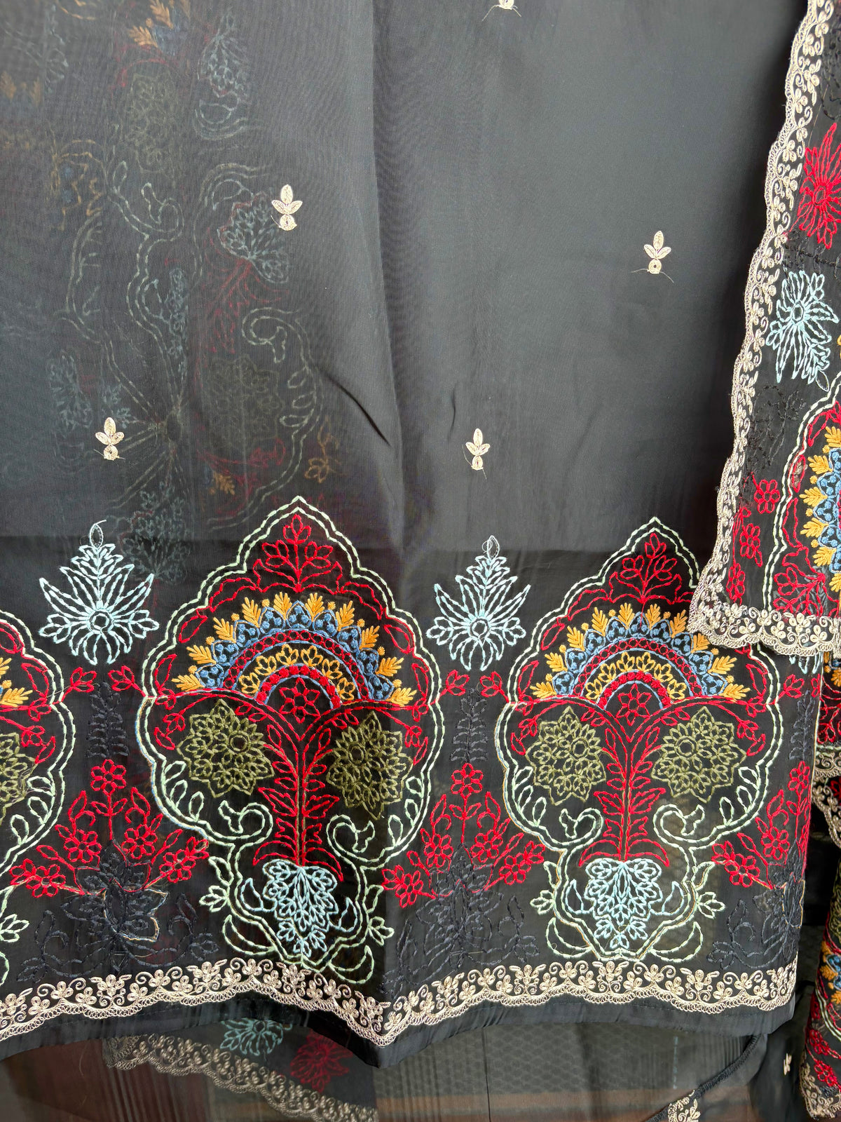 Kashmiri Organza Suit