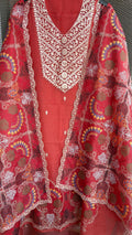 Kashmiri Organza Suit